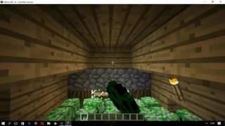 Minecraft Creeper Sex Party