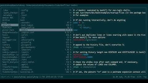 Hidden Gem: VI Mode in Bash and its Visual Mode