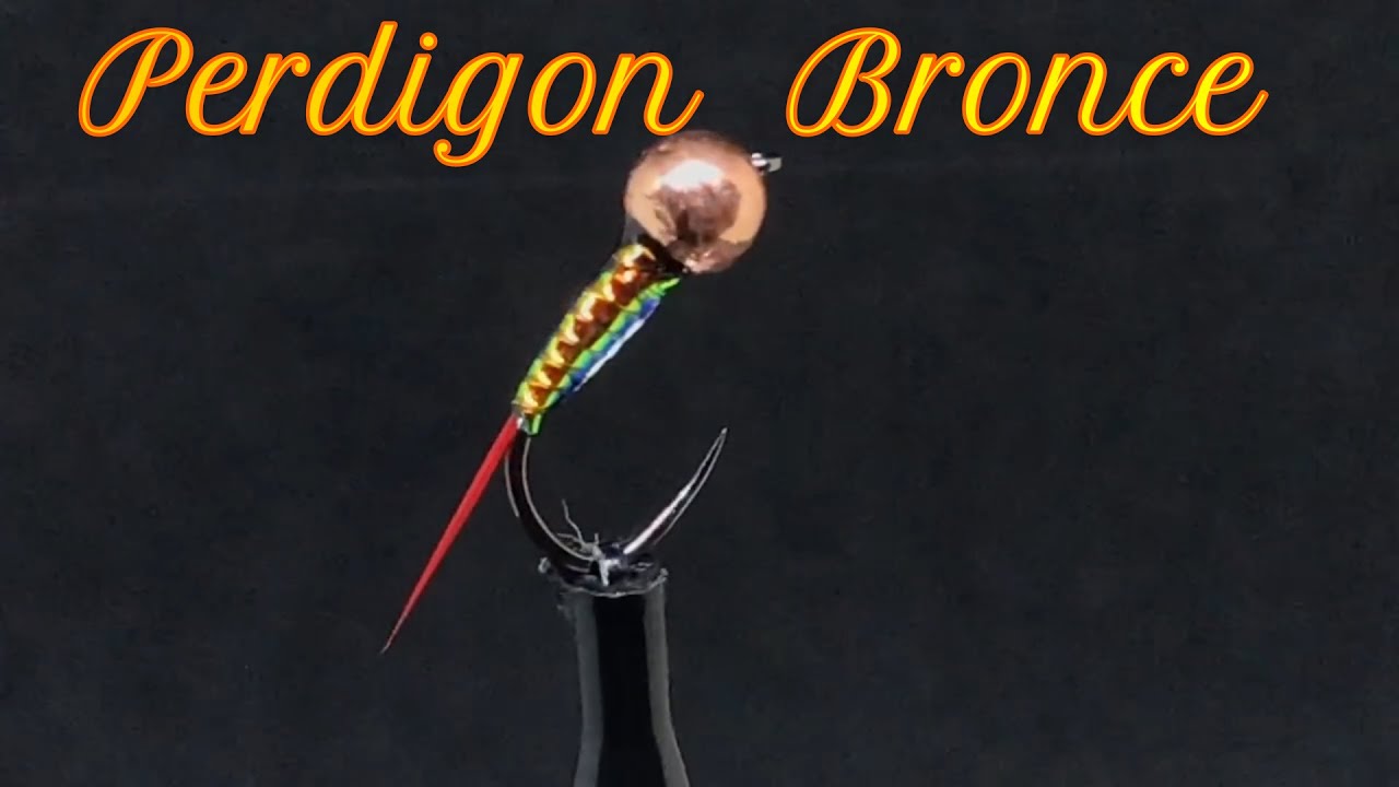 PERDIGON BRONCE