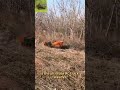 VTLM800 Lawn Mower Field Test Feedback – Powerful On Steep Slopes, Precise On Lawns