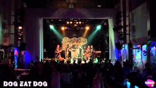 DOG EAT DOG SALA CARACOL (LIVE HD)