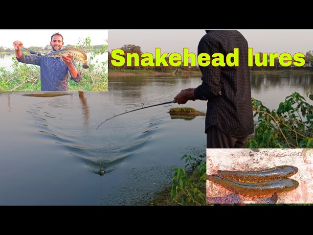 Seasir megacuda Bait casting reel snake head fishing best bait casting reel  seasir vid 2 