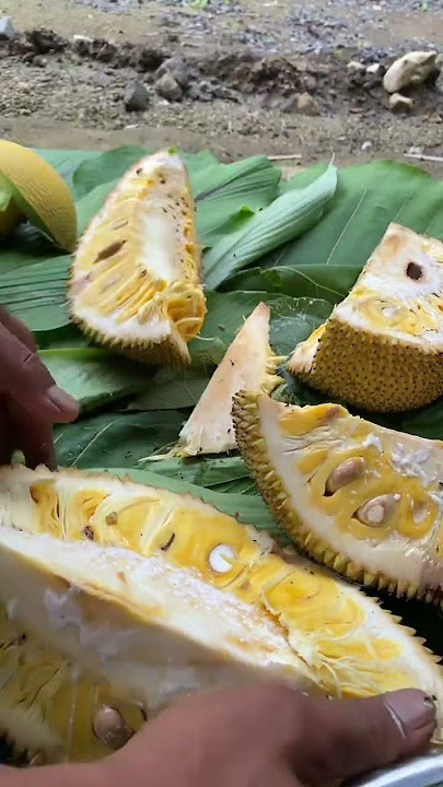 Amazing Jackfruit #jackfruit