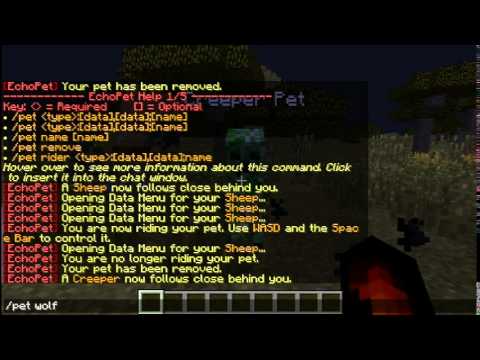 Swag-Craft EchoPet Tutorial