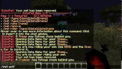 Swag-Craft EchoPet Tutorial