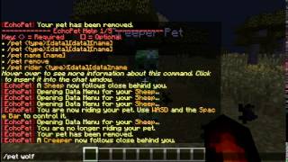 Celebrity Swag-Craft EchoPet Tutorial Net Worth