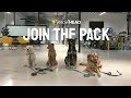 Join the Pack! yellowHEAD Recruitment Video