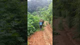 Em Yas Nawb Haib Kawg