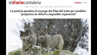 La justicia paraliza el PLAN del LOBO en Cantabria