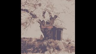 harukaze / 花隈千冬