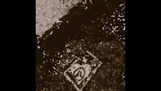 She's a riot - gedebac gedebuc