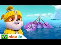 Patrulha Canina | A Patrulha Marítima salva um narval! | Nick Jr. em Português