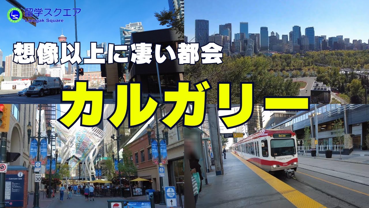【カナダ留学】カルガリーは思った以上に都会でした。英語を勉強するにもピッタリなカナダ第4の都市は行く価値あり
