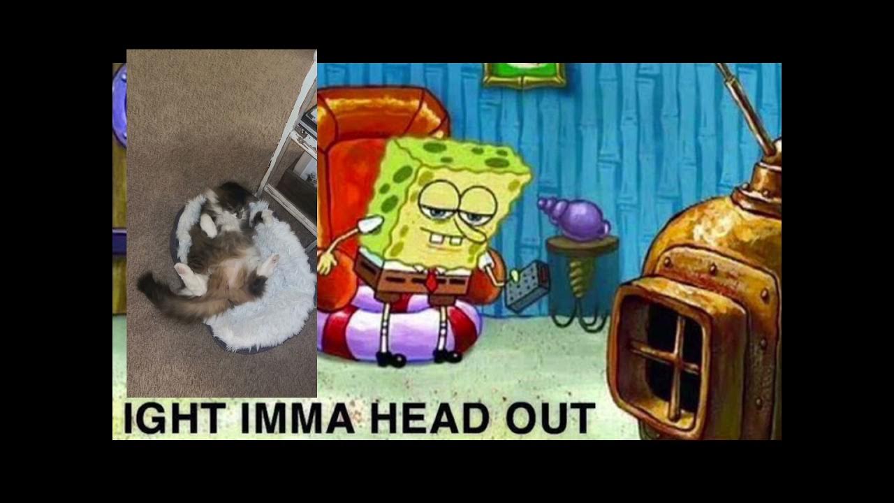 Spongebob 2024 President YouTube Spongebob 2024 President YouTube