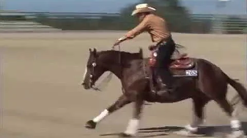 Tinker With Guns & Andrea Fappani - 2011 Reining By The Bay Open Derby Champion