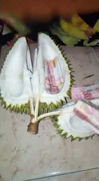 Video lucu belah duren