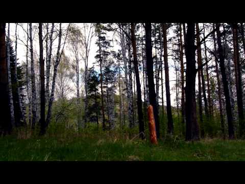 Видеоролик: Город Горно-Алтайск