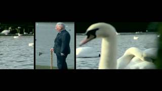 Into My Distance - By Andy Edwards Featuring Stu Hamm