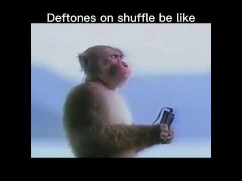 Listening to Deftones be like… #fyp #deftones #music #meme #viral #Fun