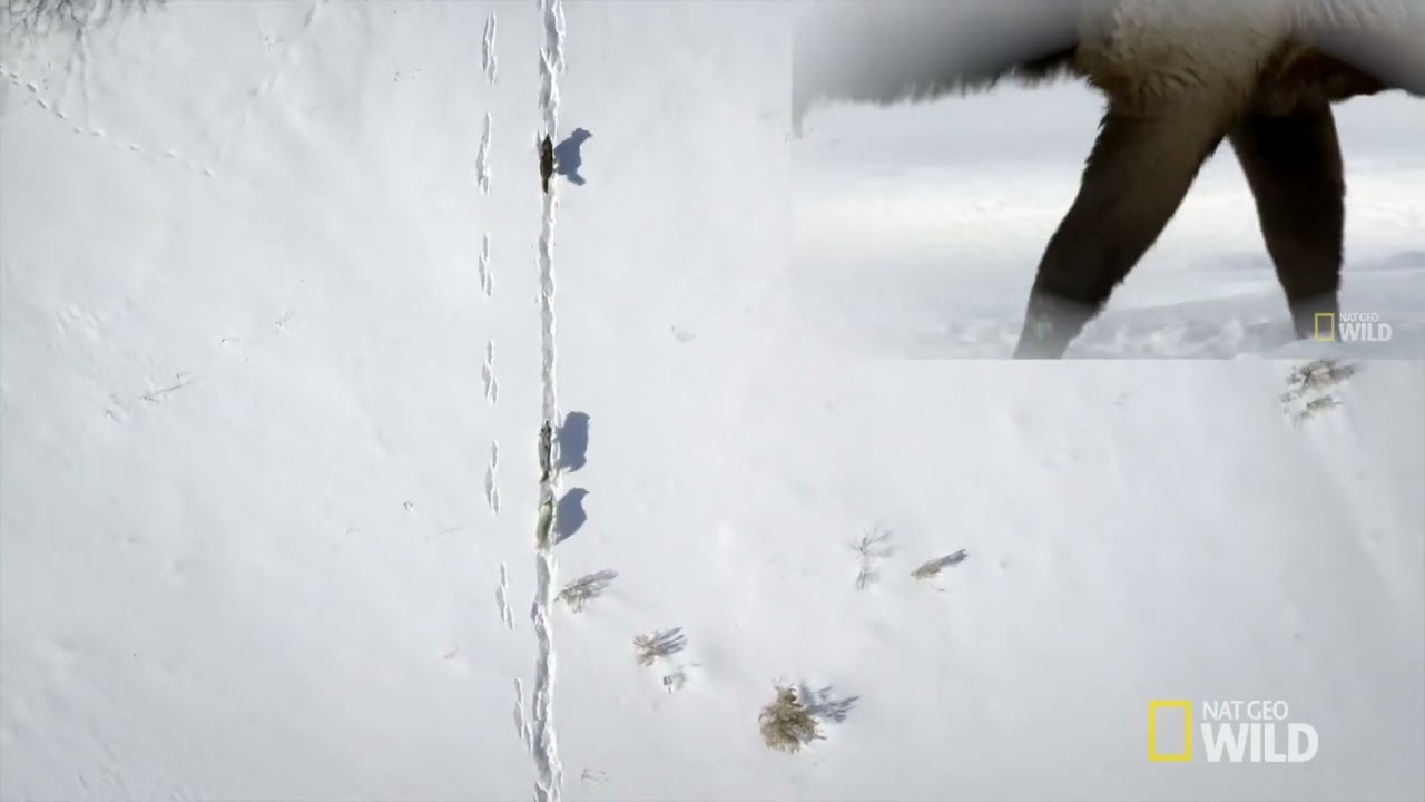 Editing Techniques Final Project