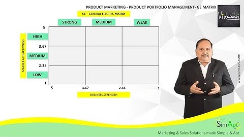 GE Matrix explained by Subir Palit with practical examples