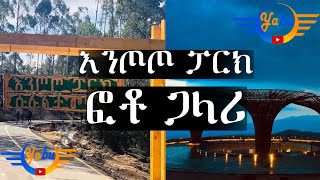 Yoni Ethiopian Entoto Natural Park Photo Gallery እንጦጦ ፓርክ ፎቶ ጋላሪ 2020