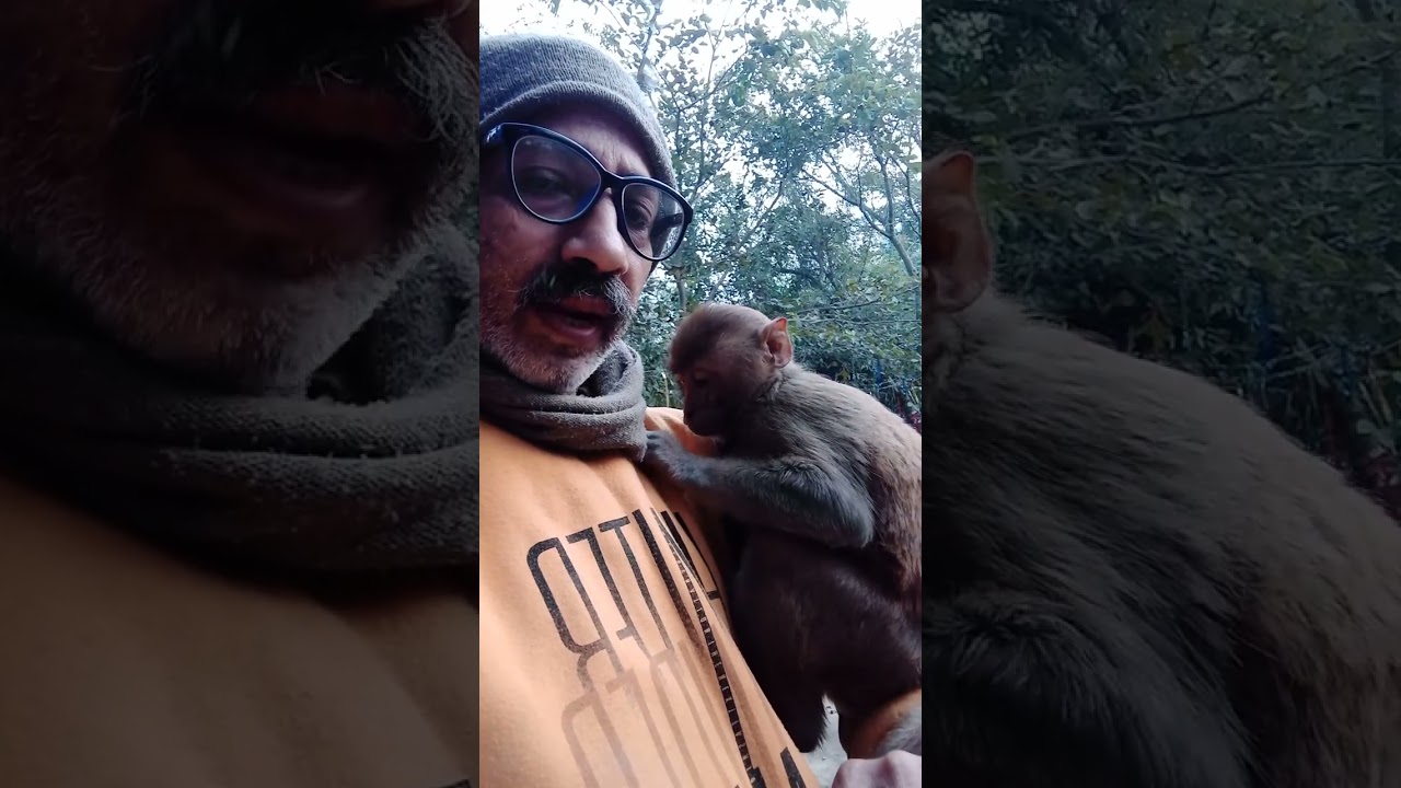 मंगलवार हनुमान जी से बात subscribe please