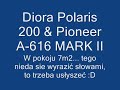 Diora Polaris 200 & Pioneer a-616 MARK II - Bass