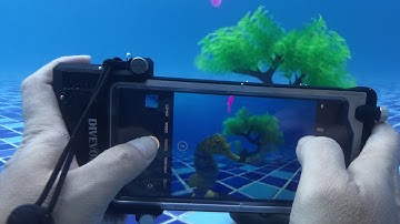 Underwater Photography with Touchscreen Focus Feature