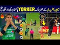 Shaheen Afridi brilliant bowling vs new Zealand 3rd ODI | faheem sportz