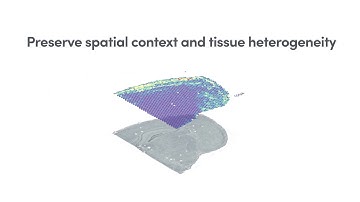 How it Works | Targeted Gene Expression