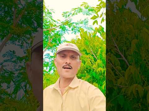 Nashe me kaun nahi hai.... #shortvideo #song #viral #trending