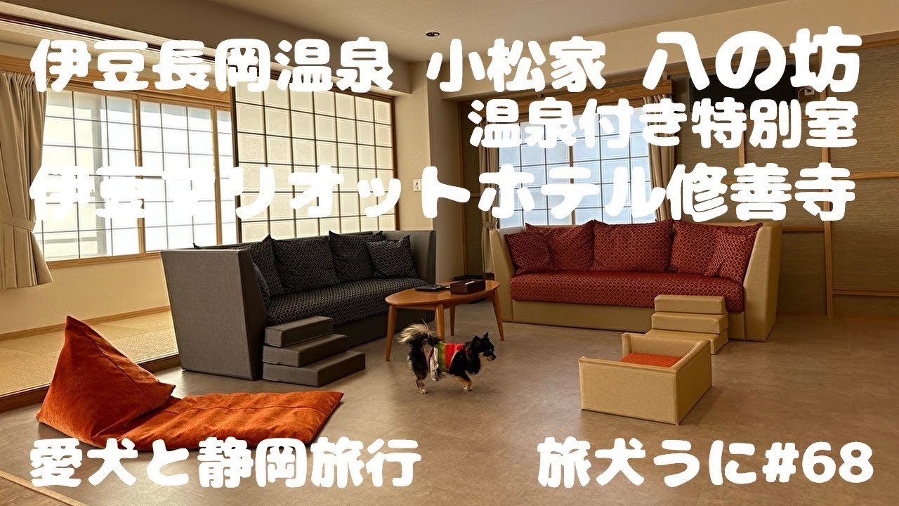 犬#68【静岡】小松家 八の坊・伊豆マリオットホテル修善寺　2023 旅犬うに