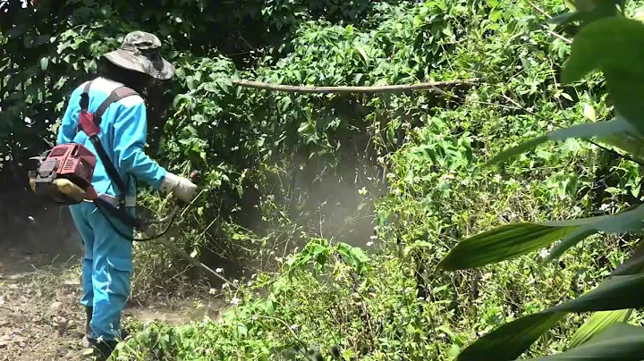 Cleaning Up Creepy Abandoned House: Shocking Discovery of The Mysterious Gate & Hidden Cave