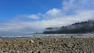 Ozette Triangle Cape Alava Tskawahyah Island Ambience