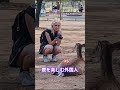 ヨーロッパの観光客が奈良の鹿公園を楽しむ 💋🫎🦌