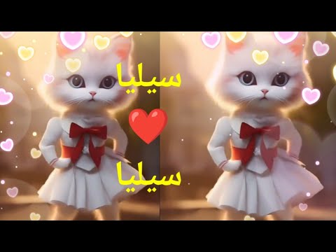 سيليا سيليا قلبي اغنية باسم سيليا اغنيه بأسم سيليا سوسو السعودية الجزائر الامارات العراق سيليا