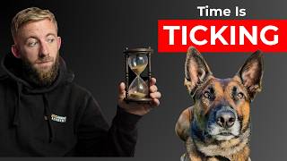 Why Time Isn’t On Your Side With A Reactive Dog