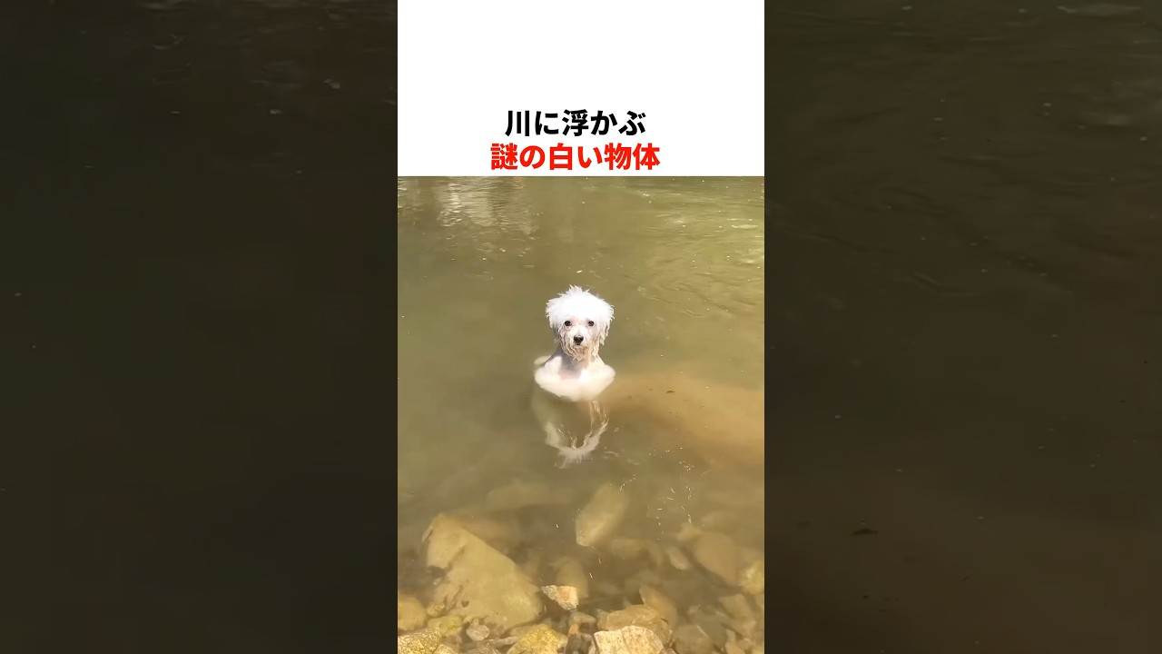 一瞬脳がバグる