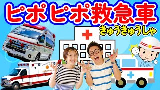 【ほんもの！】ピポピポ救急車うたのママパパ おかあさんといっしょ にこにこぷん はたらくくるま