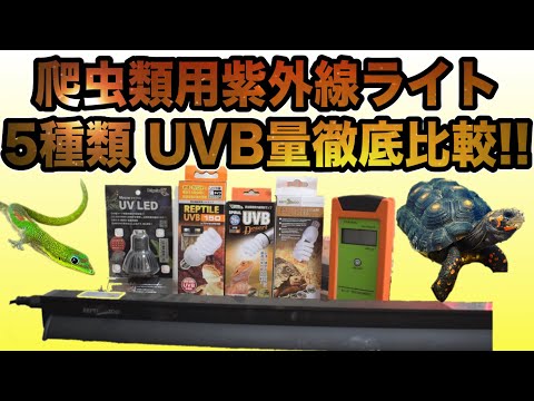 爬虫類飼育用 UVB測定器 RGM-UVB 紫外線計測器 51203-1.jpg