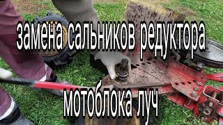 замена сальников редуктора мотоблок луч