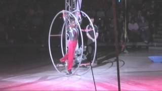 Gym Wheel