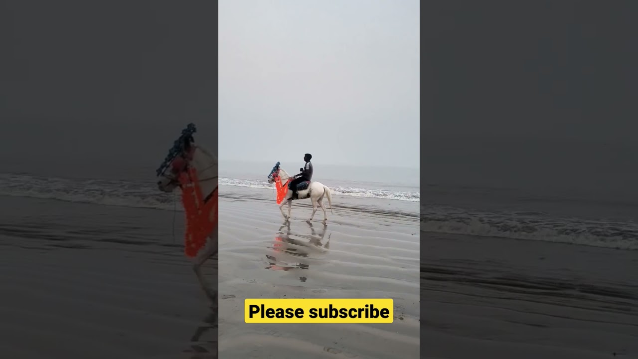 New Digha sea Beach | Horse riding video ! Beaches near IIT Kharagpur! Best beach in west bengal