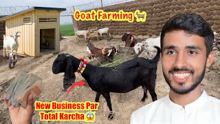 New Goats Par Total Kitne Paise Laag Gaye Start Goat Farming