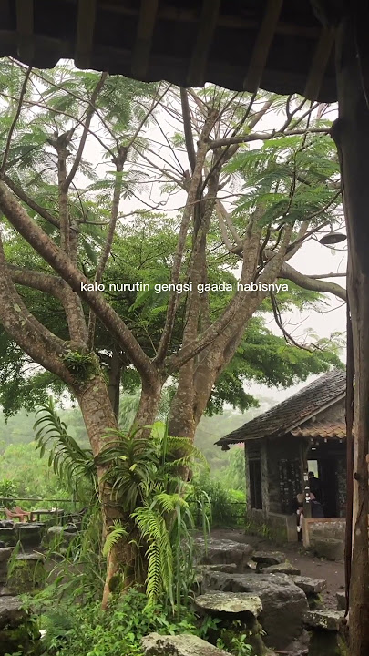 serius gw klau ini! [story wa] #shorts #story #storywa #gabut