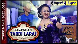Download Lagu LEWUNG Tardi laras terbaru cokek sragen live sedayu 2022 MP3