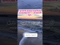 “হে আমাদের রব! আমাদের গুনাহ ক্ষমা করুন 🤲 | সূরা আলে ইমরান ১৬”