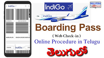 indigo airline