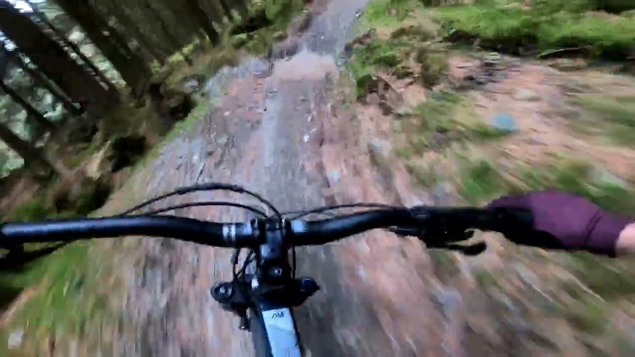 Rockrider A.M 50s Full Suspension MTB On Tickknock trails.